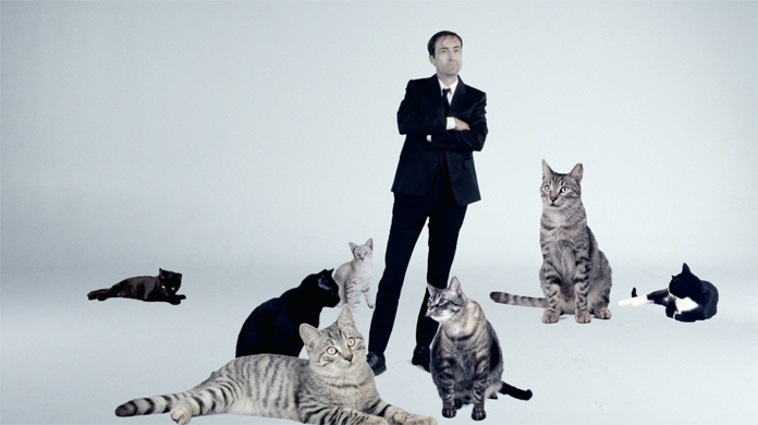 Andrew Bird Makes Music Video with Cats