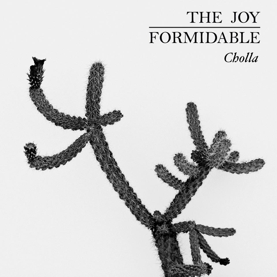 The Big Roar - Album by The Joy Formidable