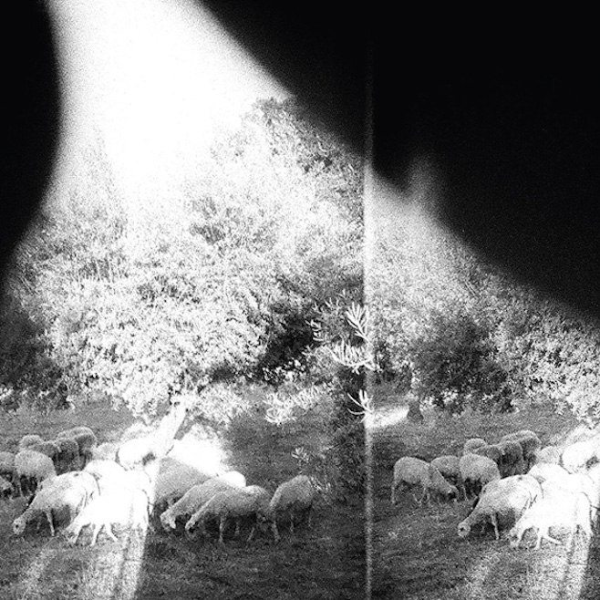 Godspeed You! Black Emperor Announce New Album, “Asunder, Sweet and Other Distress”