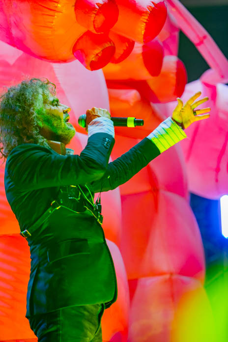 The Flaming Lips